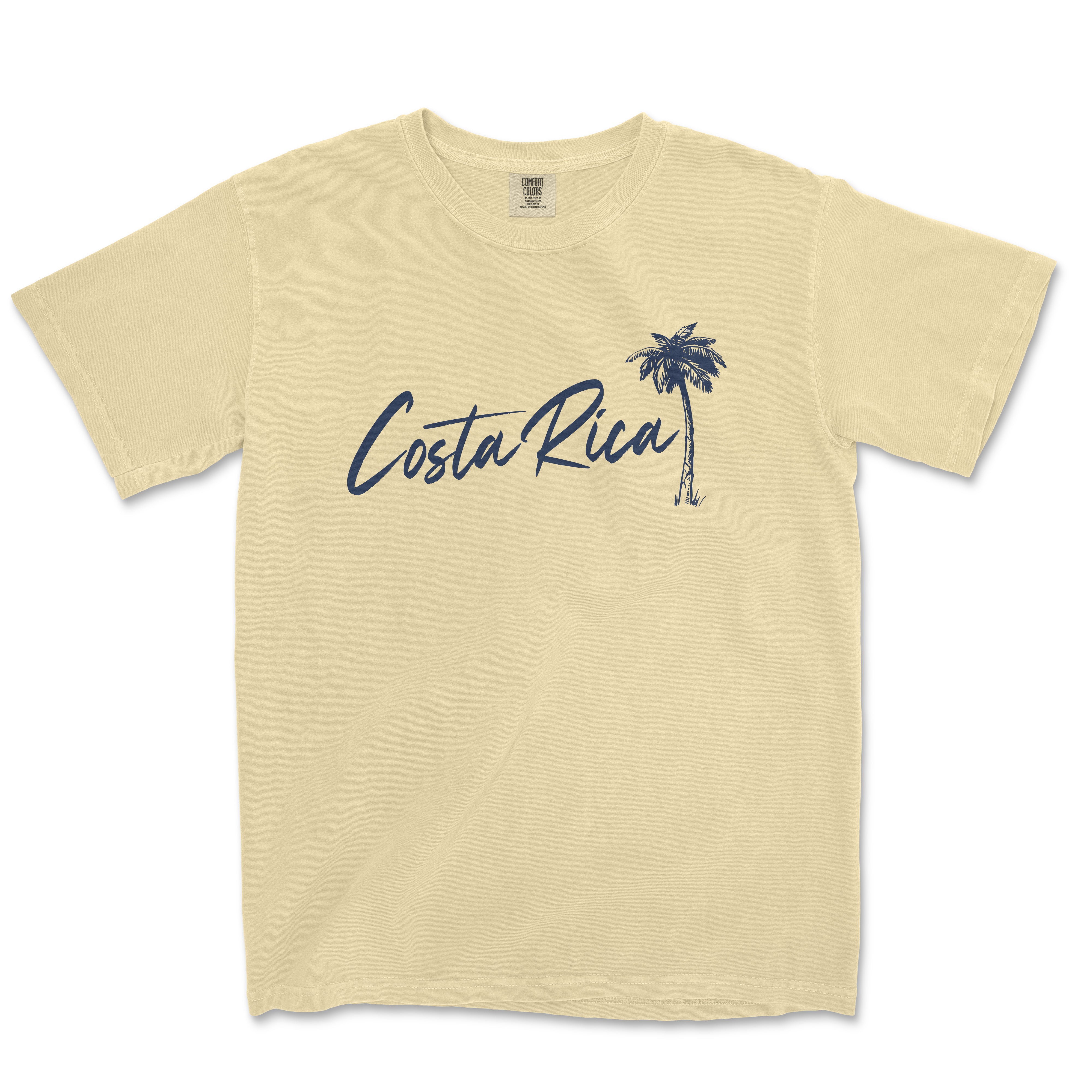 a t - shirt with a palm tree and the word costa rica on it