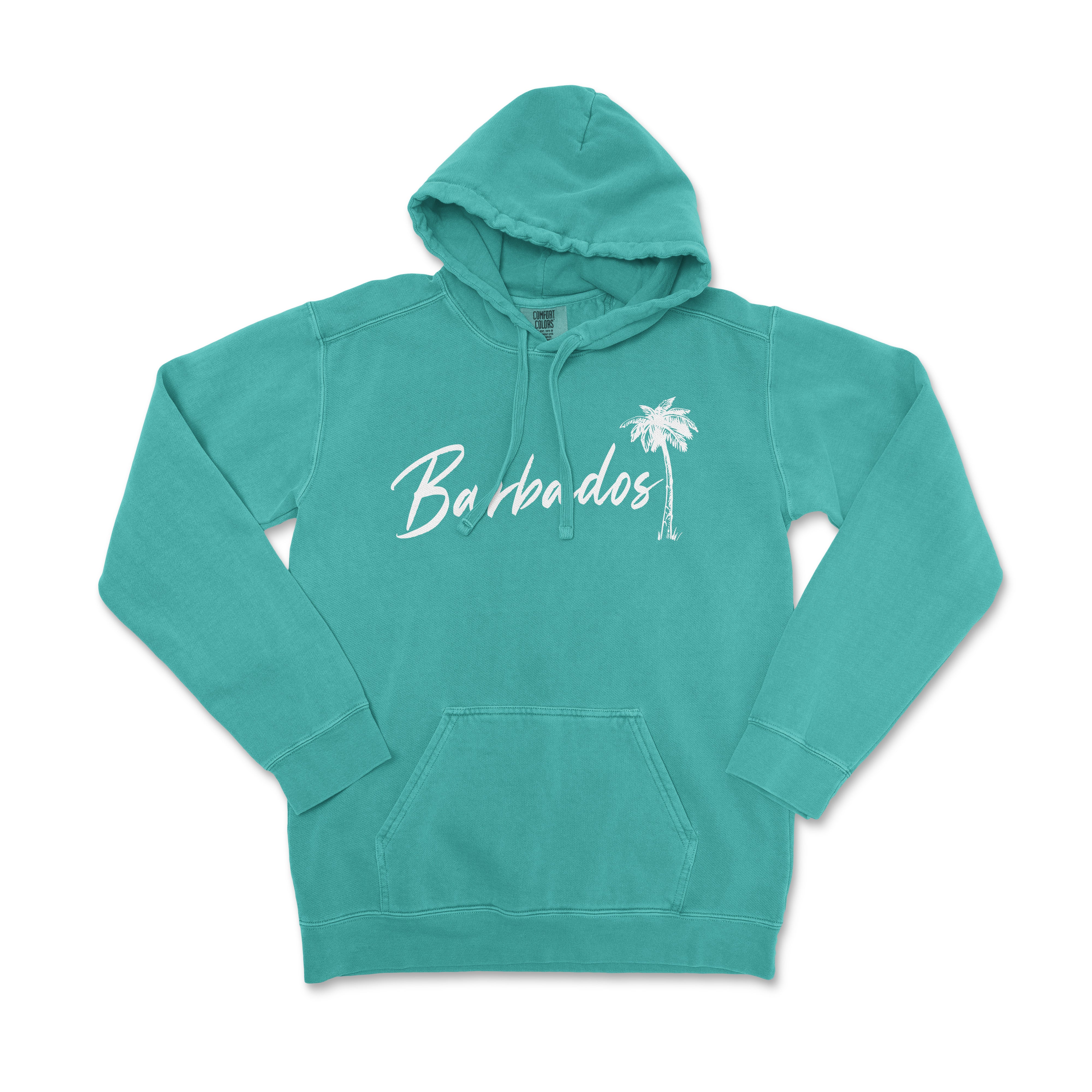 a turquoise hoodie with a palm tree on it