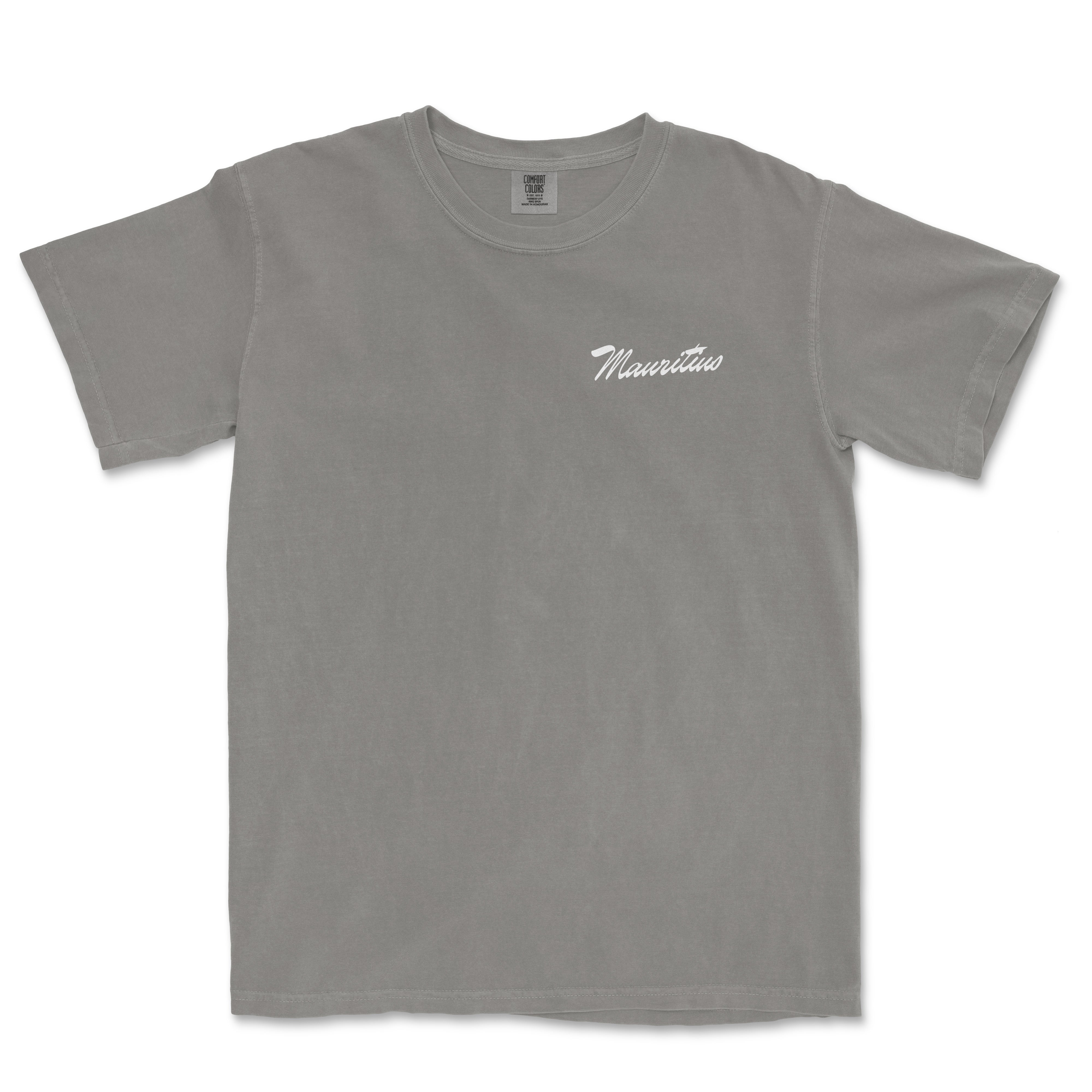 a gray t - shirt with the word minnesota on it